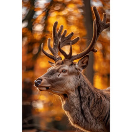 Tableau Cerf Majestueux en Forêt d'Automne, art mural décoration nature