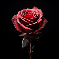 Thumbnail for Tableau Contemporain Rose Rouge