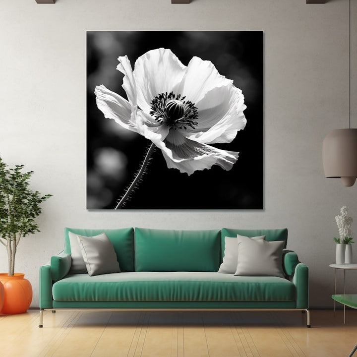 Tableau Coquelicot Noir Et Blanc