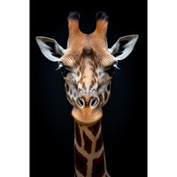 Thumbnail for Tableau Cou De Girafe 2 m