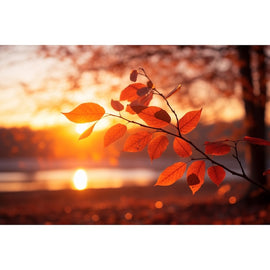Tableau Automne Coucher de Soleil, art mural décoration nature