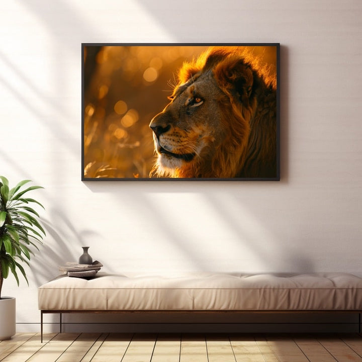 Tableau Lion de Profil au Couchant, art mural décoration nature