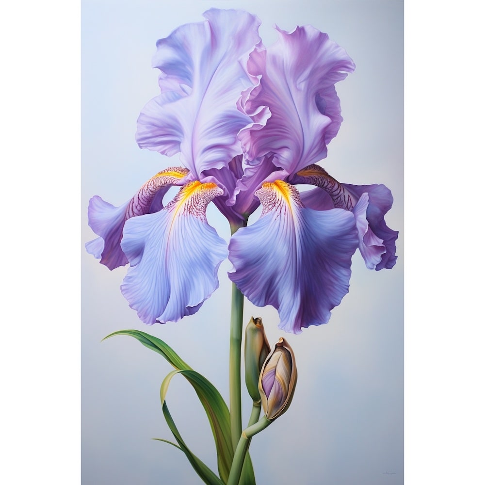 Tableau Une Fleur D'Iris