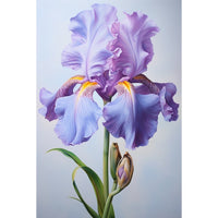 Thumbnail for Tableau Une Fleur D'Iris