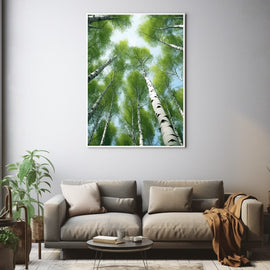 Tableau Cimes de Bouleaux vers le Ciel, art mural décoration nature