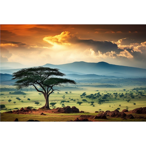 Tableau Acacia Solitaire dans la Savane Africaine, art mural décoration nature, vue 2