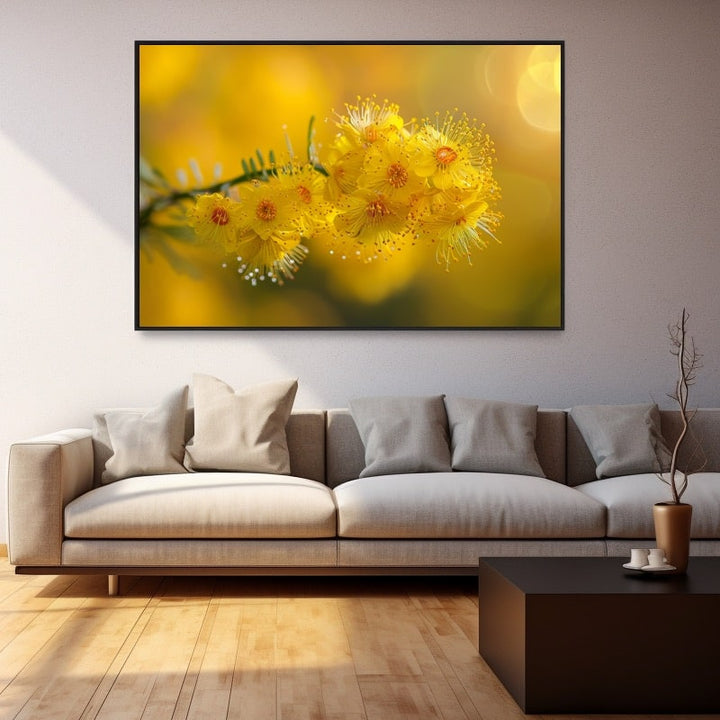 Tableau De Mimosa