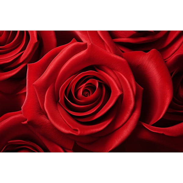 Tableau de Rose Rouge, art mural décoration nature