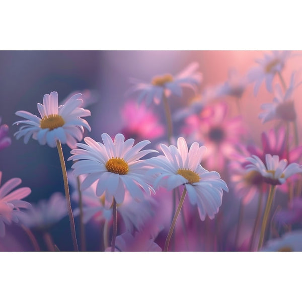 Tableau Décoration de Fleurs