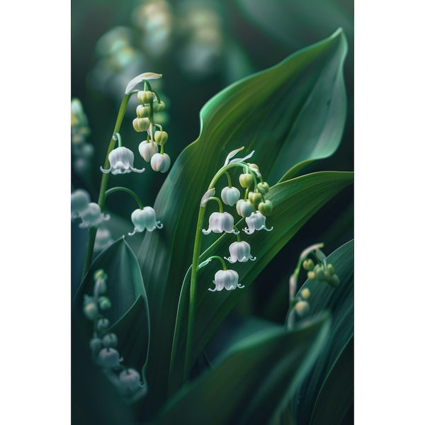 Tableau Du Muguet