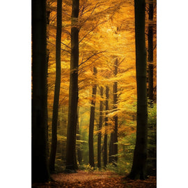 Tableau Hêtraie Dorée d'Automne, art mural décoration nature