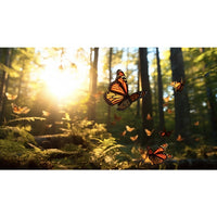 Thumbnail for Tableau Envol Papillons