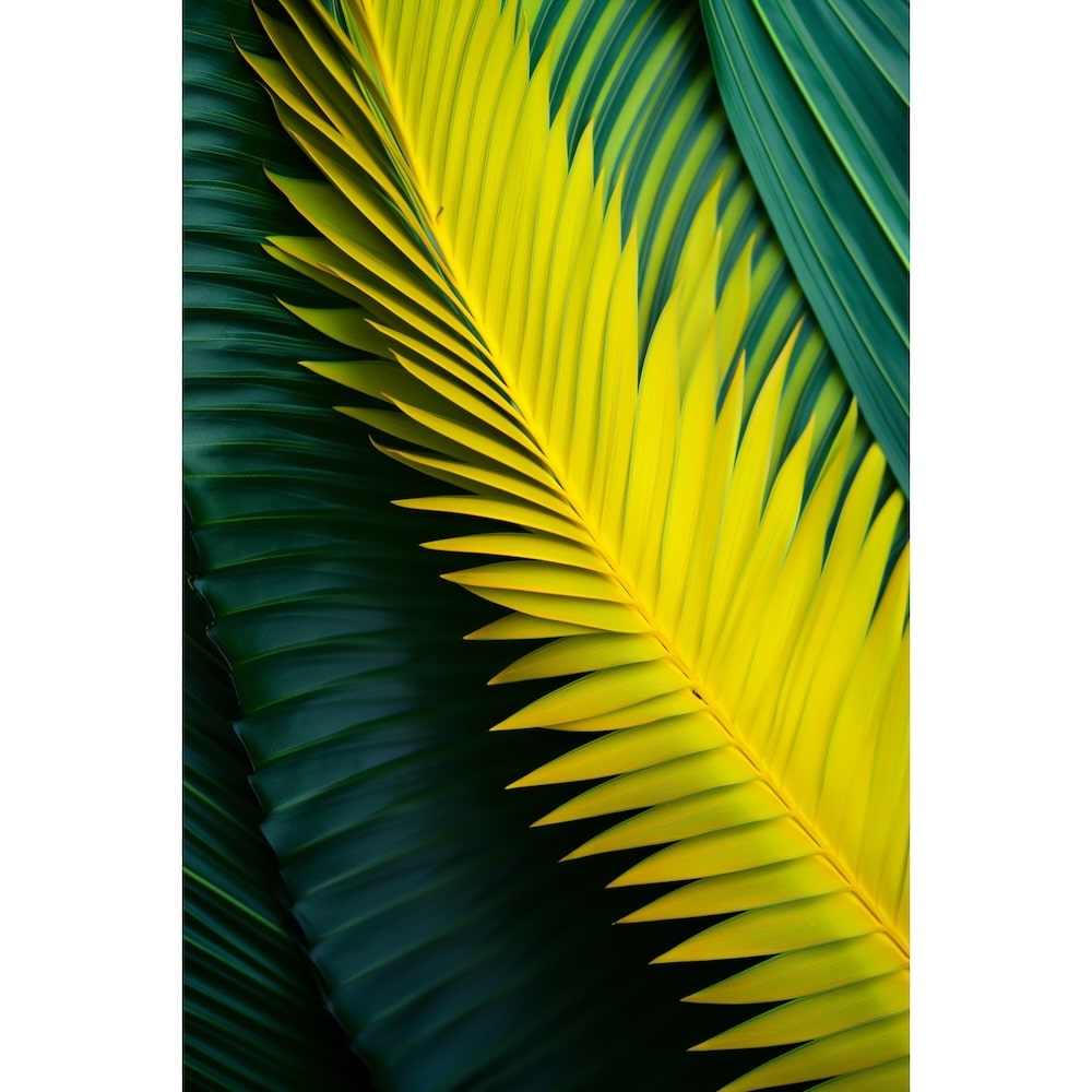 Tableau Feuille de Palmier Jaune, art mural décoration nature