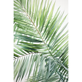 Tableau Feuille de Palmier, art mural décoration nature