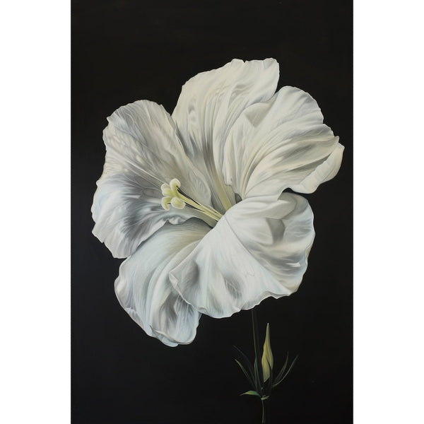Peinture florale en gros plan, corolle ivoire aux nuances grises, étamine pâle sur fond noir mat