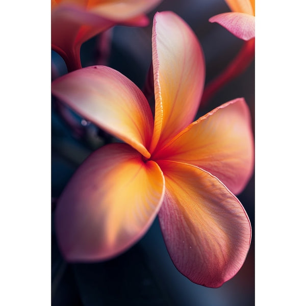 Tableau Fleur Frangipanier