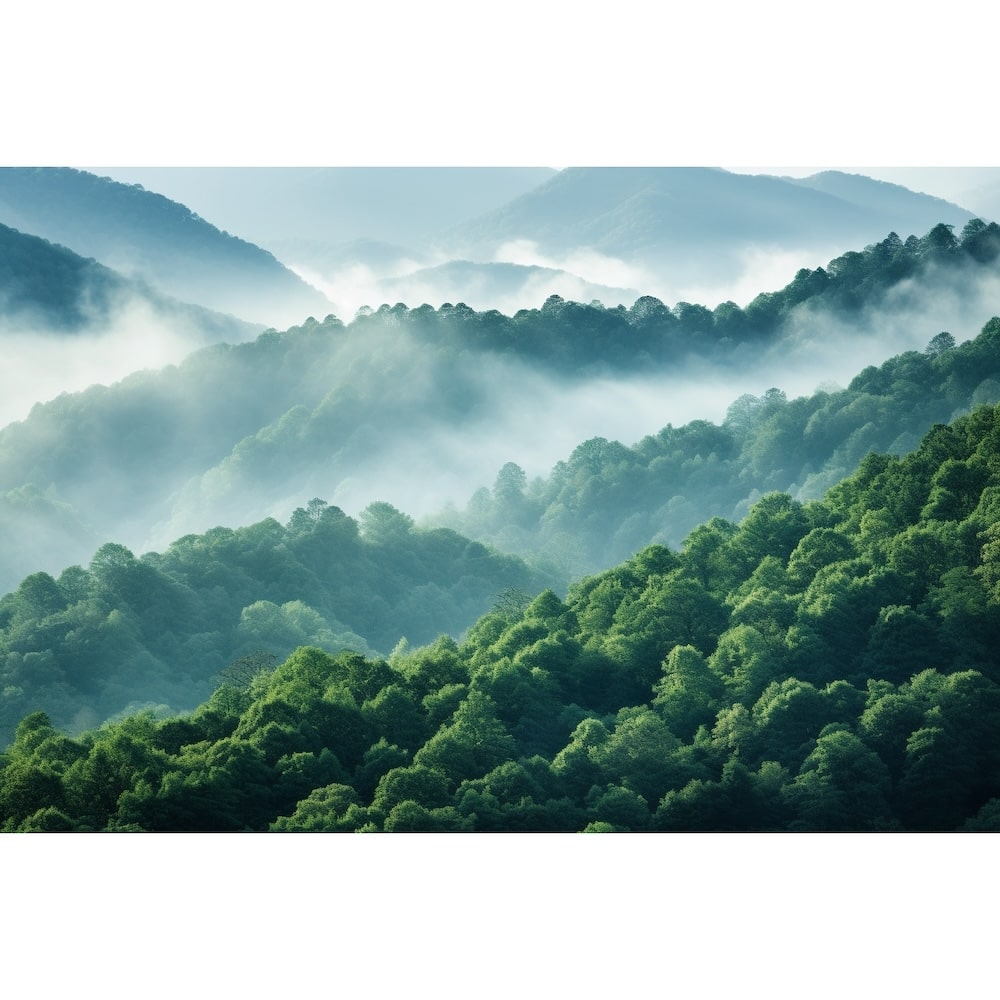 Tableau Forêt dans la Brume, art mural décoration nature