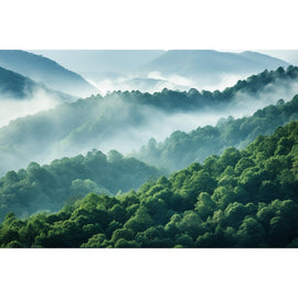 Tableau Forêt dans la Brume, art mural décoration nature
