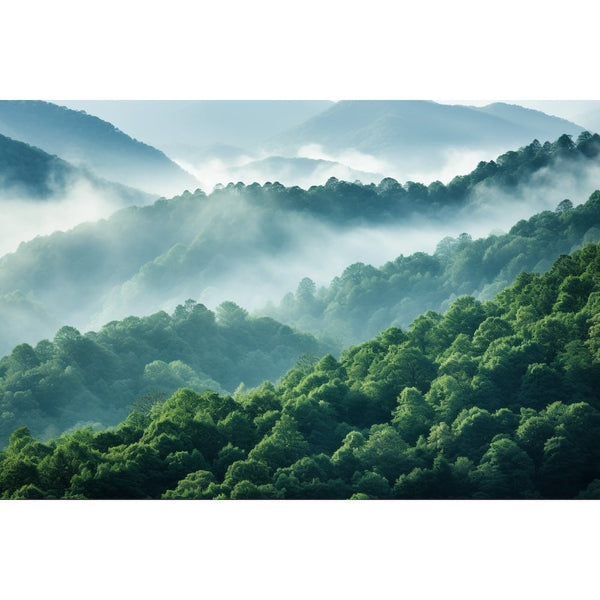 Tableau Forêt dans la Brume, art mural décoration nature