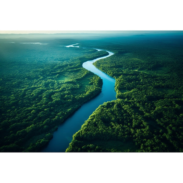 Tableau avec Forêt et Fleuve, art mural décoration nature