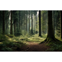 Thumbnail for Tableau Forêt Nature Moderne