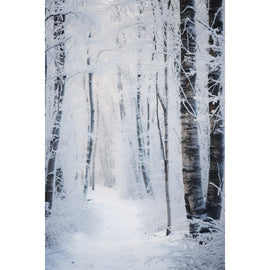 Tableau Forêt et Neige, art mural décoration nature