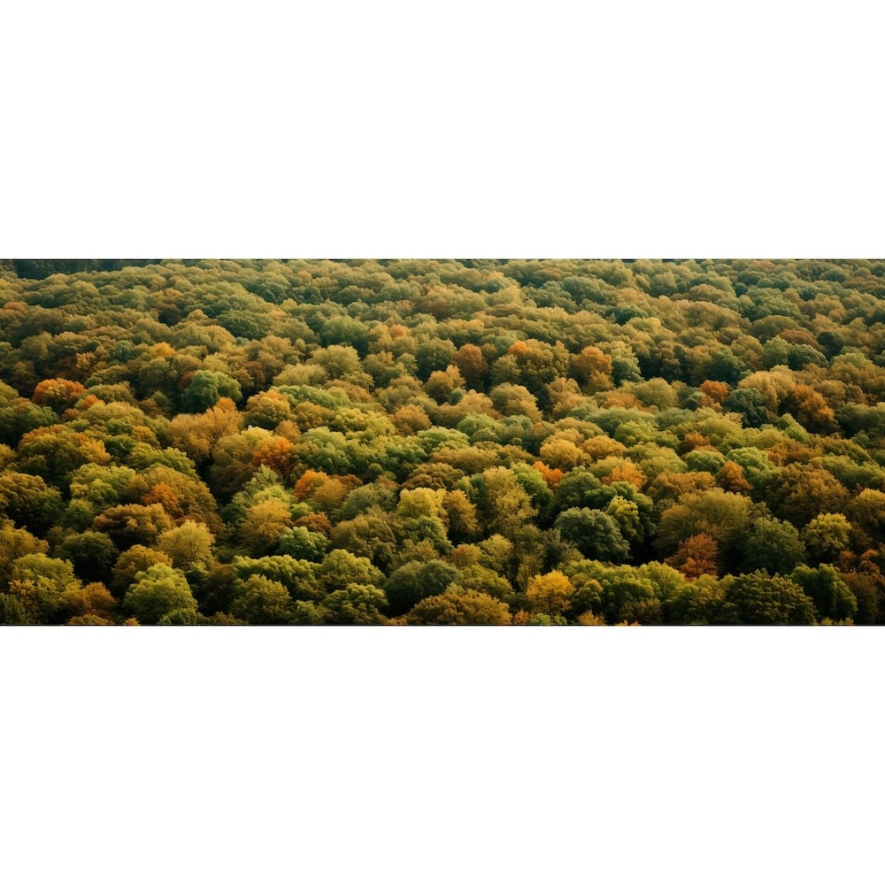 Tableau Triptyque Forêt, art mural décoration nature