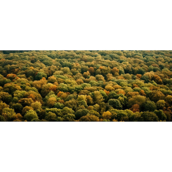 Tableau Triptyque Forêt, art mural décoration nature