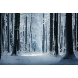 Tableau Forêt Hiver, art mural décoration nature