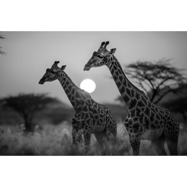 Tableau Imprimé Girafe Noir et Blanc, art mural décoration nature