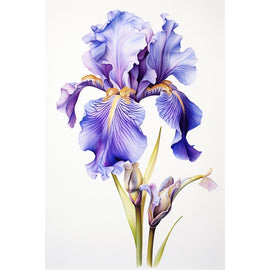 Tableau Iris