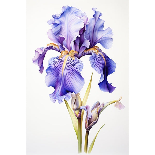 Tableau Iris
