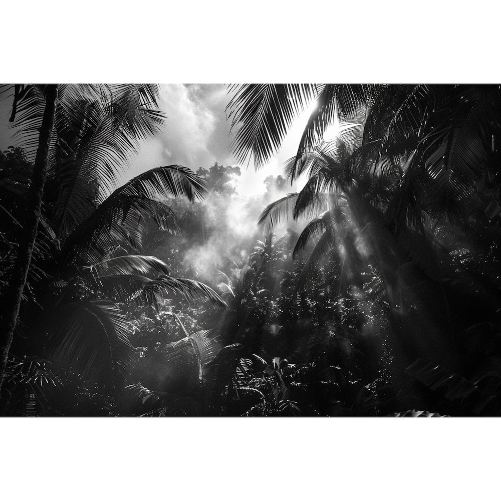 Tableau Jungle en Noir Et Blanc