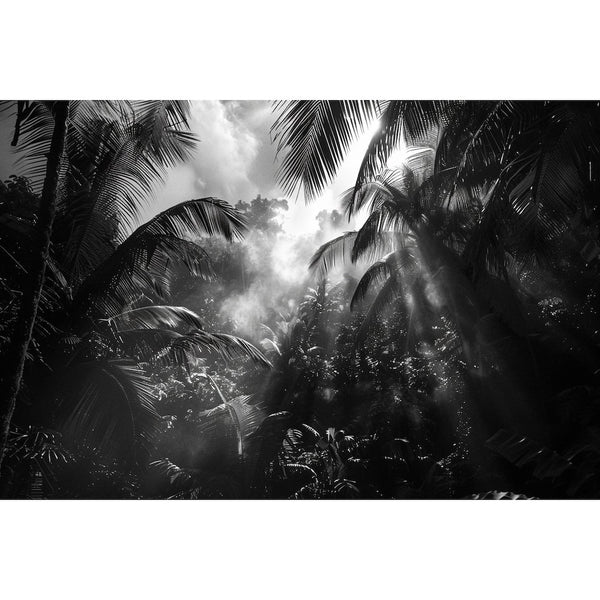 Tableau Jungle en Noir Et Blanc