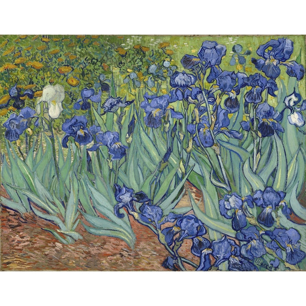 Tableau Les Iris de Van Gogh — Champ d'Iris Bleus, art mural décoration nature
