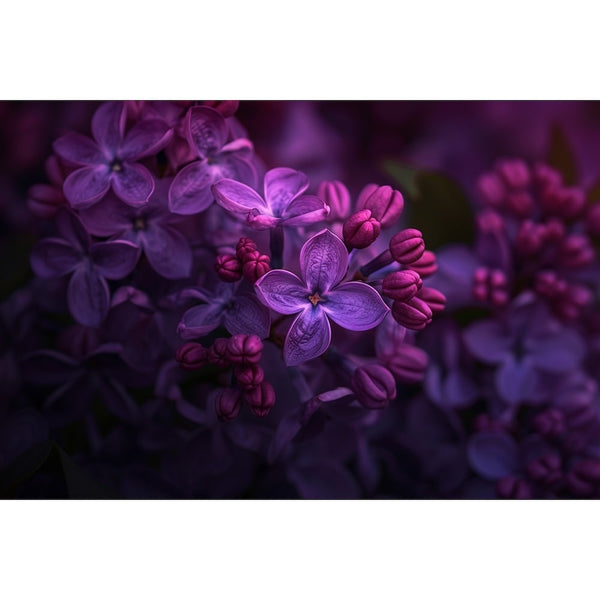 Tableau Moderne Avec Des Fleurs