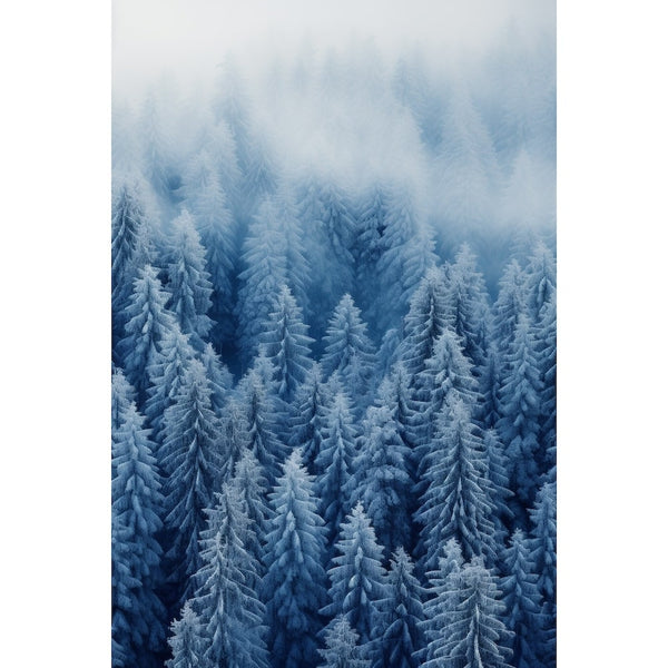 Tableau Forêt Scandinave Neige, art mural décoration nature