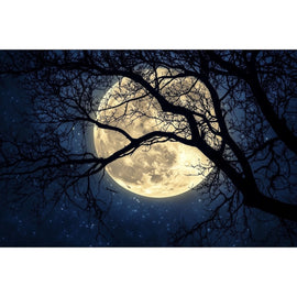 Tableau Nuit Lune, art mural décoration nature