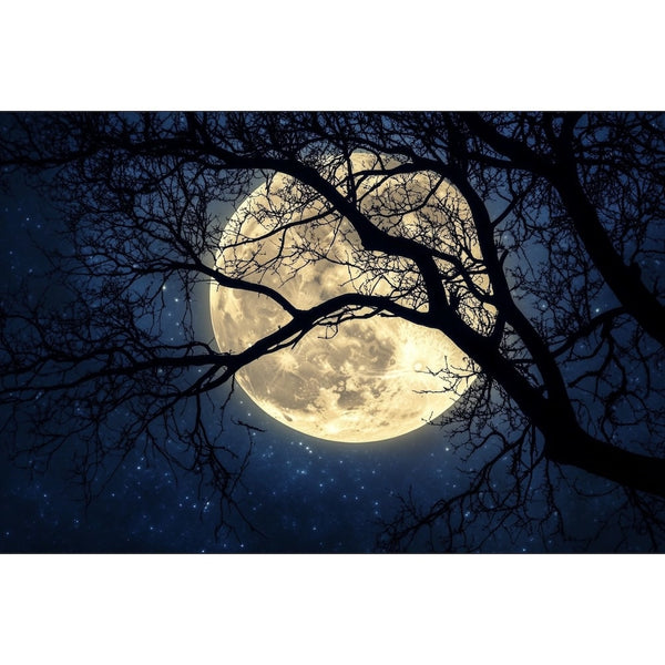 Tableau Nuit Lune, art mural décoration nature