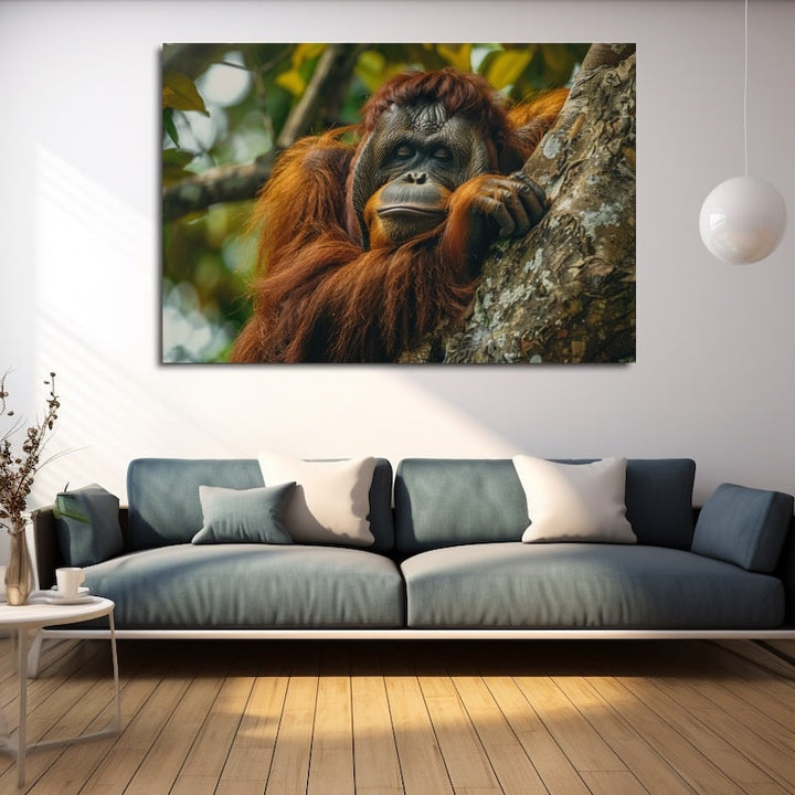 Tableau Orang-Outan, art mural décoration nature