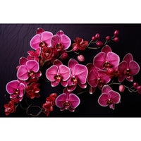 Thumbnail for Tableau Orchidée Rectangulaire Zen