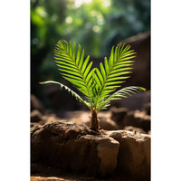 Thumbnail for Tableau Palmier Plante