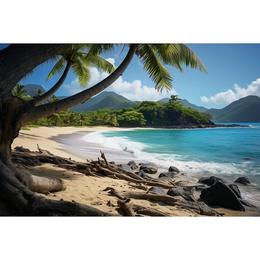 Tableau Paradisiaque Plage