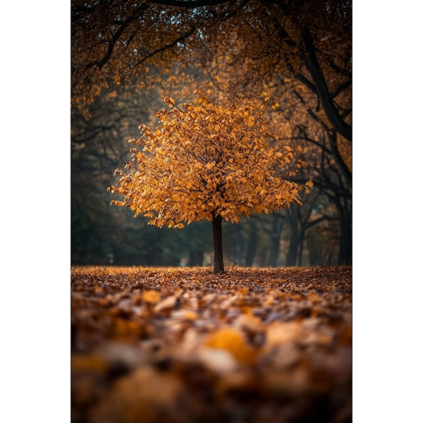 Tableau Arbre Solitaire en Automne, art mural décoration nature