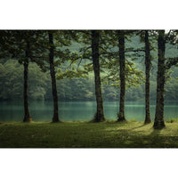 Thumbnail for Tableau Paysage de Lac