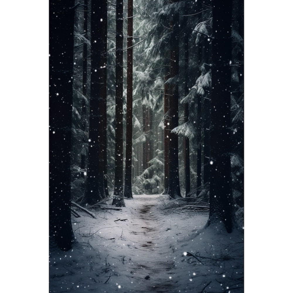 Tableau Photo Forêt sous la Neige, art mural décoration nature