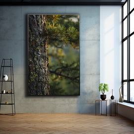 Tableau Pin, art mural décoration nature