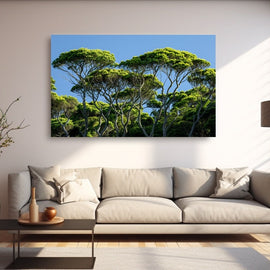 Tableau Pin Parasol, art mural décoration nature