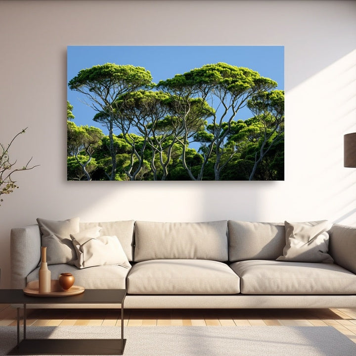 Tableau Pin Parasol, art mural décoration nature