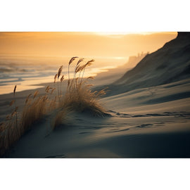 Tableau Plage Dune